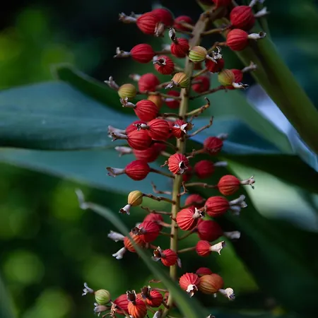 Готель Parco Dei Principi 5*