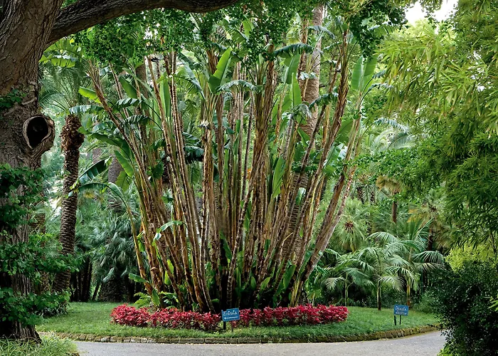 Parco Dei Principi 5* Sorrento