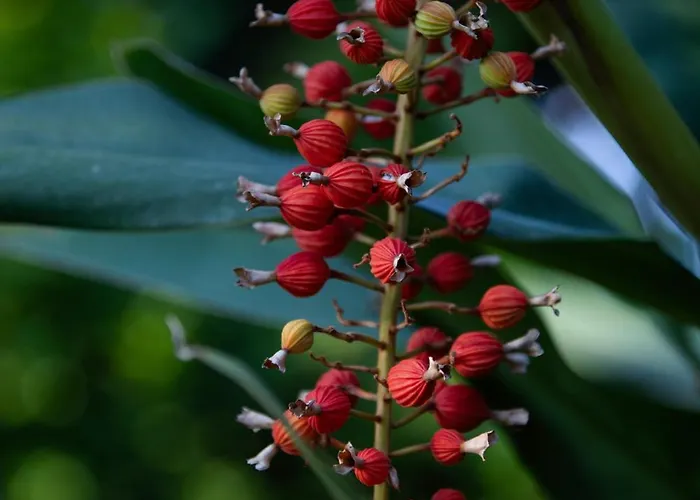 מלון Parco Dei Principi 5*