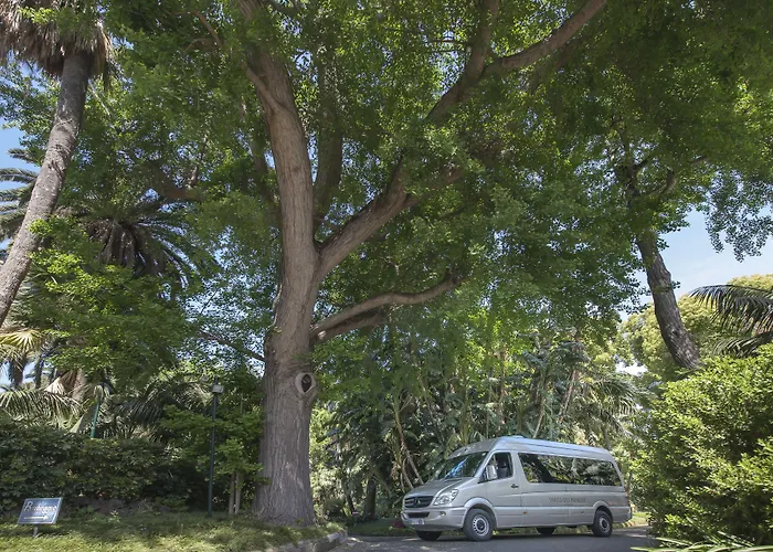 מלון Parco Dei Principi סורנטו