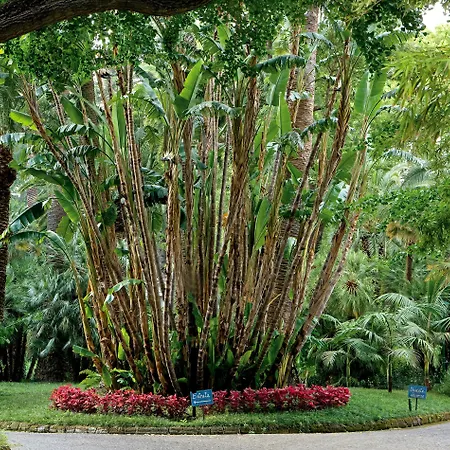 Parco Dei Principi 5* Sorrento